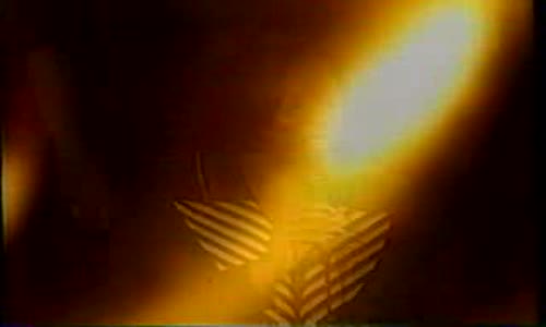 Now That I'm Here - Beverly Crawford.flv